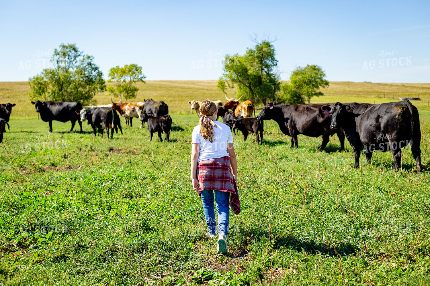 Farm Kid Walking in Pasture 155276