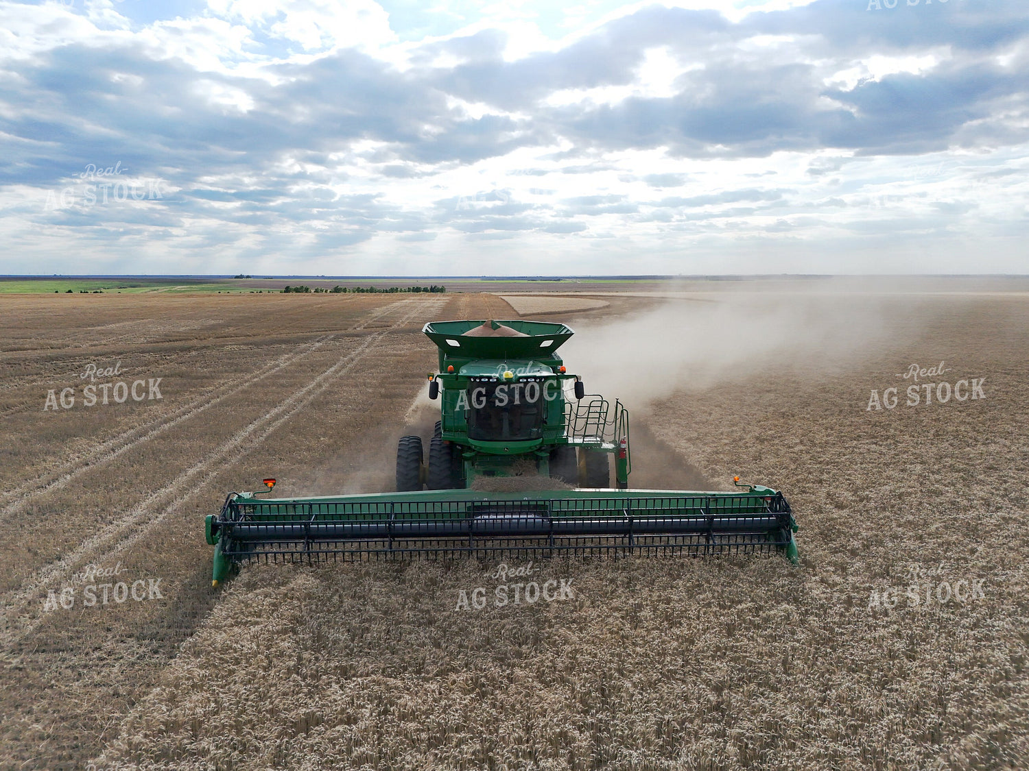Harvesting Wheat 239617