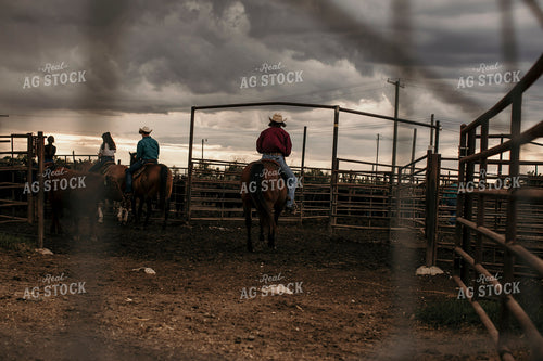 Feedyard 3090
