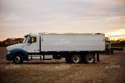 Harvest 2632