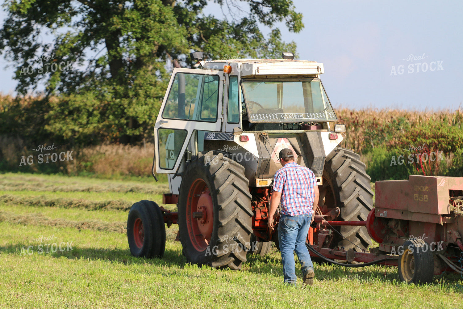 Harvesting Hay 160338