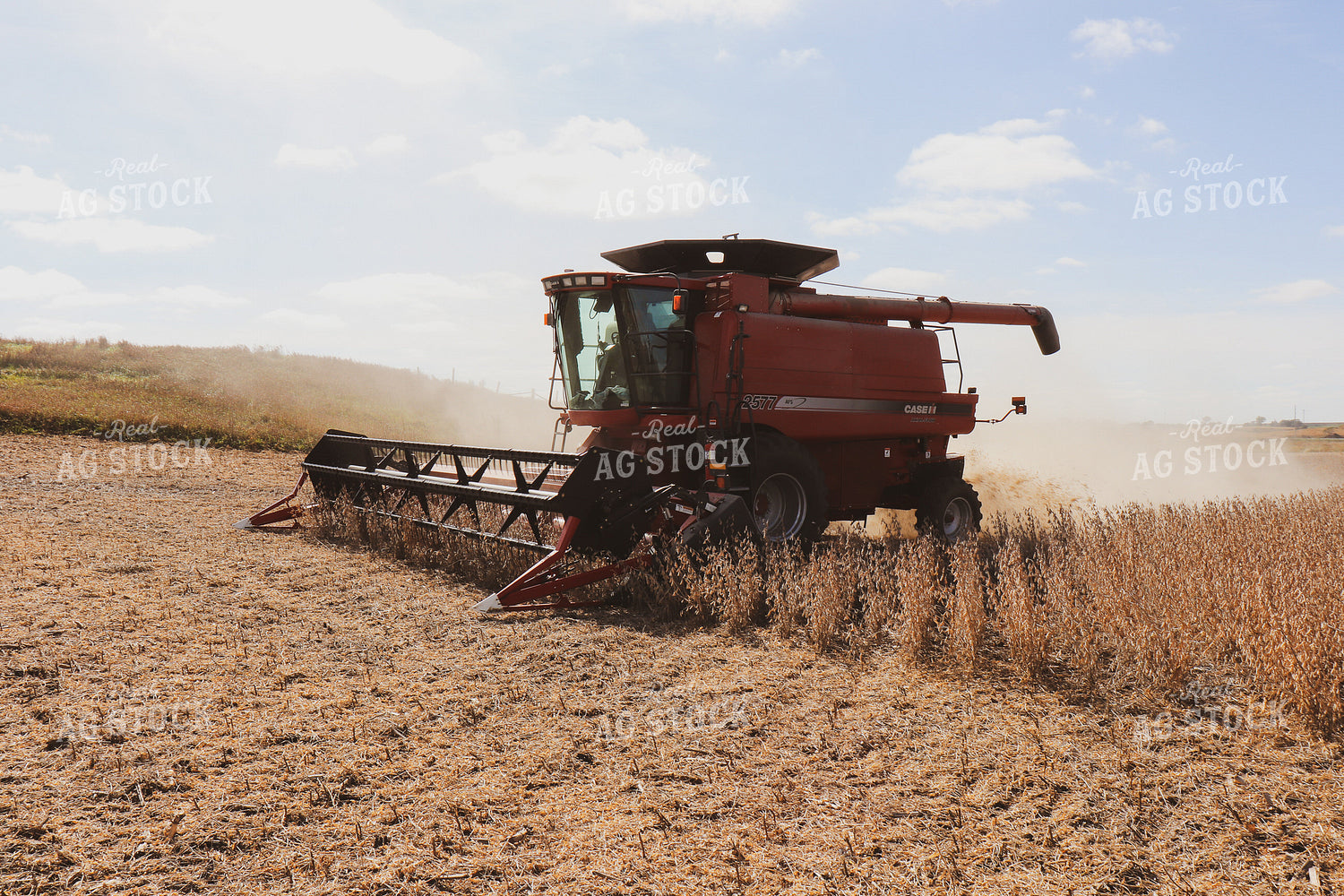 Soybean Harvest 67005