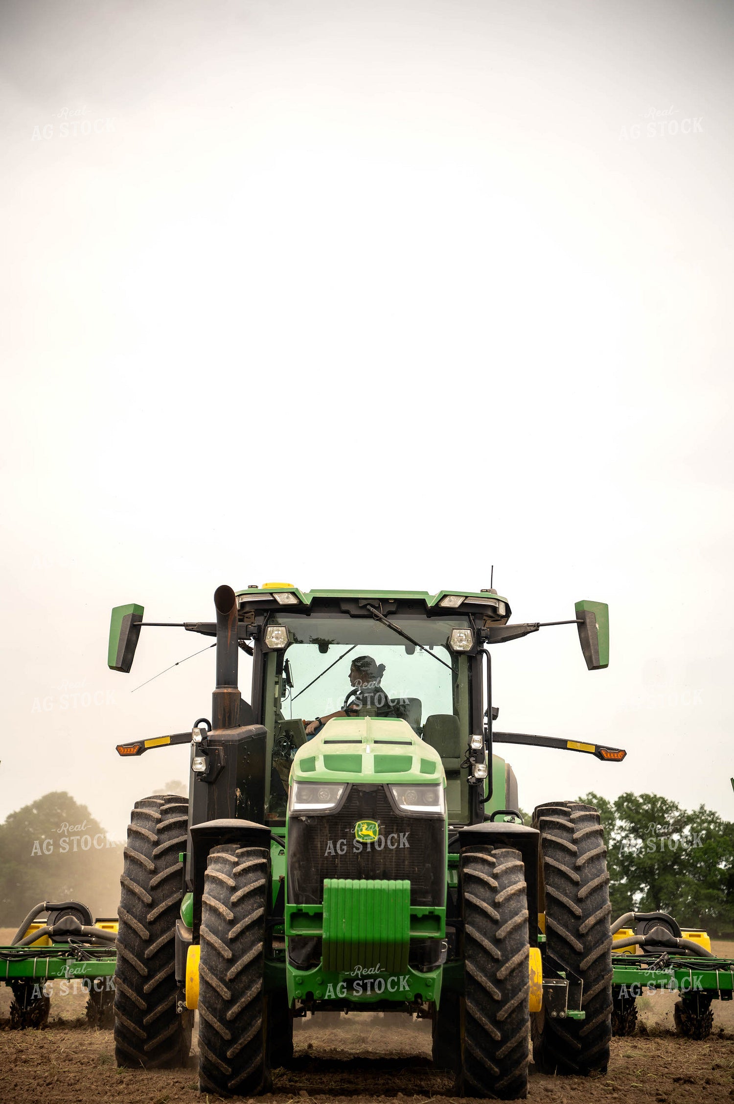 Planting 115685