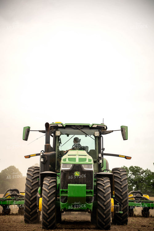Planting 115685