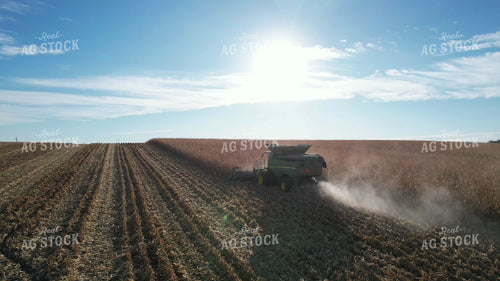Aerial of Corn Harvest 65577