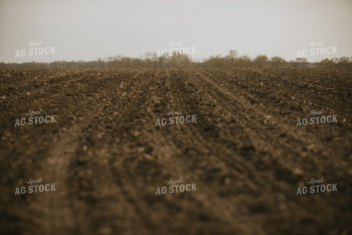 Just Planted Soil in Field 5464