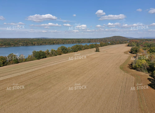 Dried Soybeans Aerial 79164