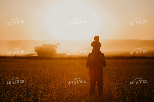 Harvest 2591