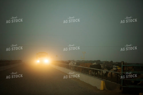 Feed Truck Driving down Feedyard Alley 3826