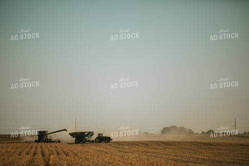 Combine Cutting Soybeans and Unloading On the Go 4794