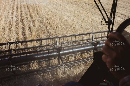 Harvesting Soybeans from the Inside of a Combine 67006