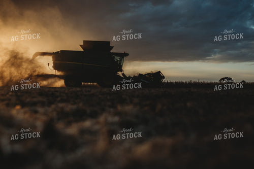 Combine Cutting Soybeans at Sunset 3454
