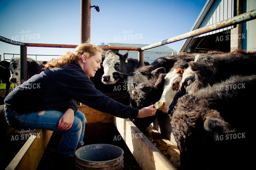 Female Farmer with Cattle 181009