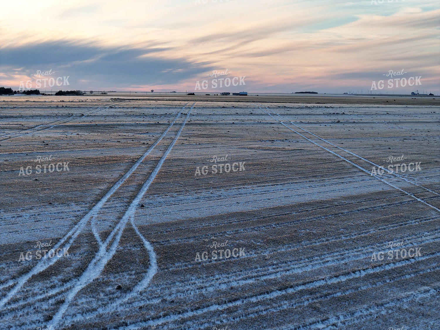 Snow Covered Wheat Field 239093