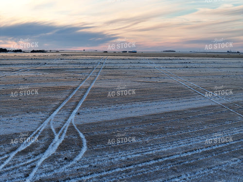 Snow Covered Wheat Field 239093