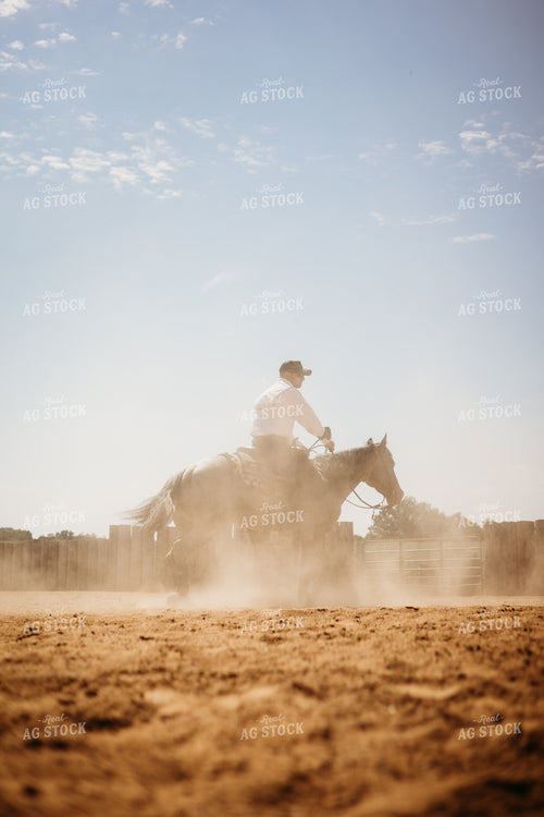 Riding Horse in Arena 281098