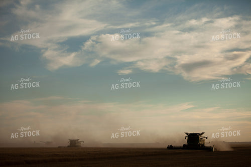 Wheat 2150