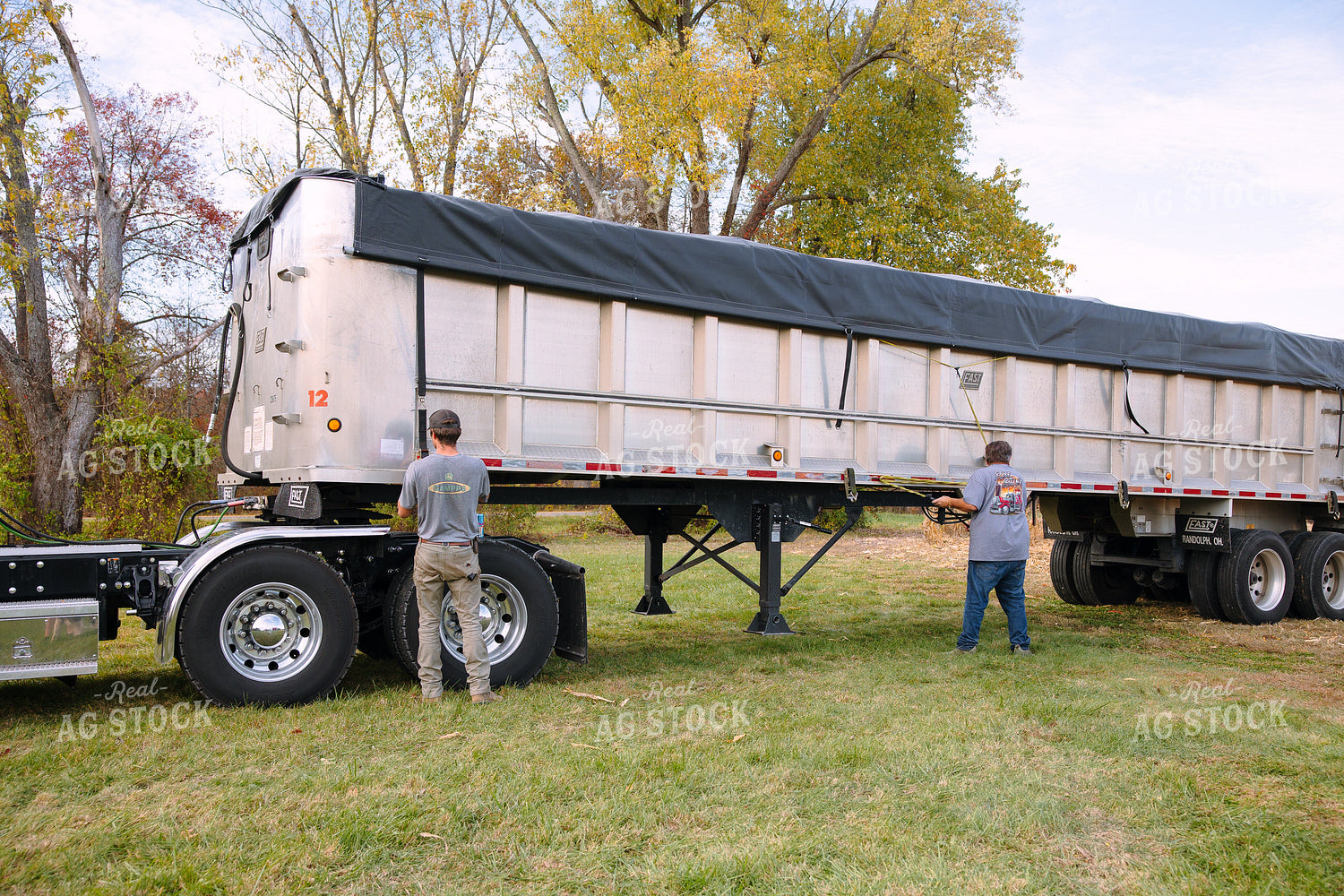 Transporting Grain 52653