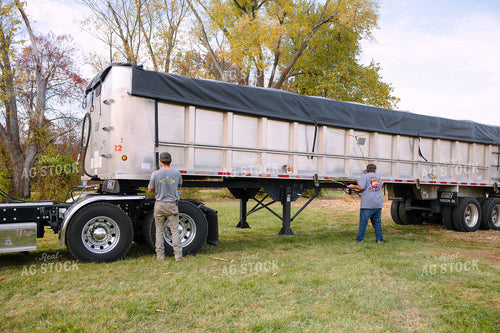 Transporting Grain 52653