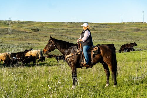 Female Rancher on Horseback 65175