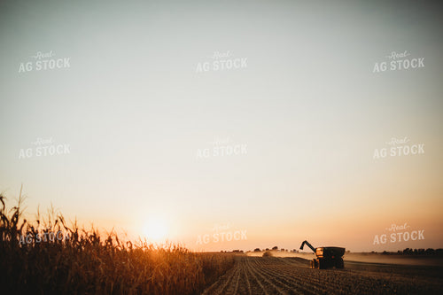 Auger Wagon Grain Cart in Corn Field at Sunset 3432