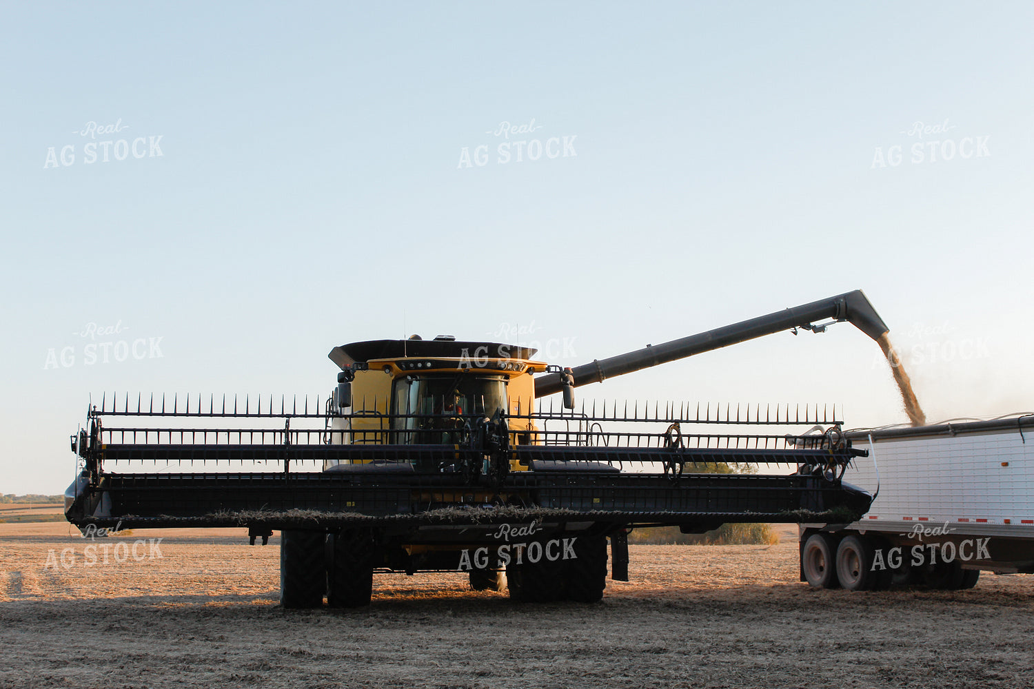 Combine Unloading into Semi 123001