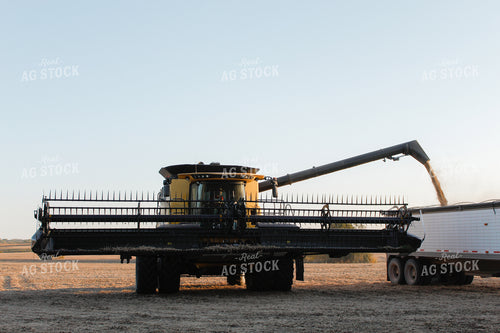 Combine Unloading into Semi 123001