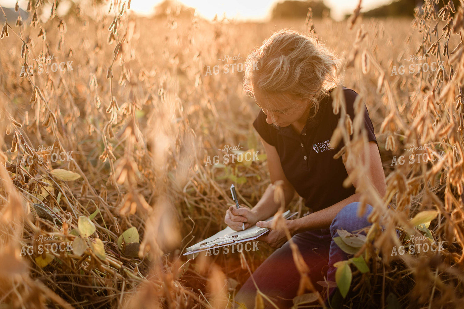 Female Agronomist Checking Beans 8319