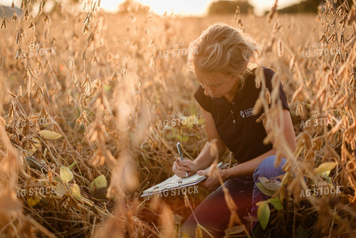 Female Agronomist Checking Beans 8319
