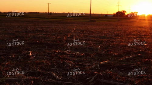 Soybean Video - Sunset on Partially Harvested Field 2500