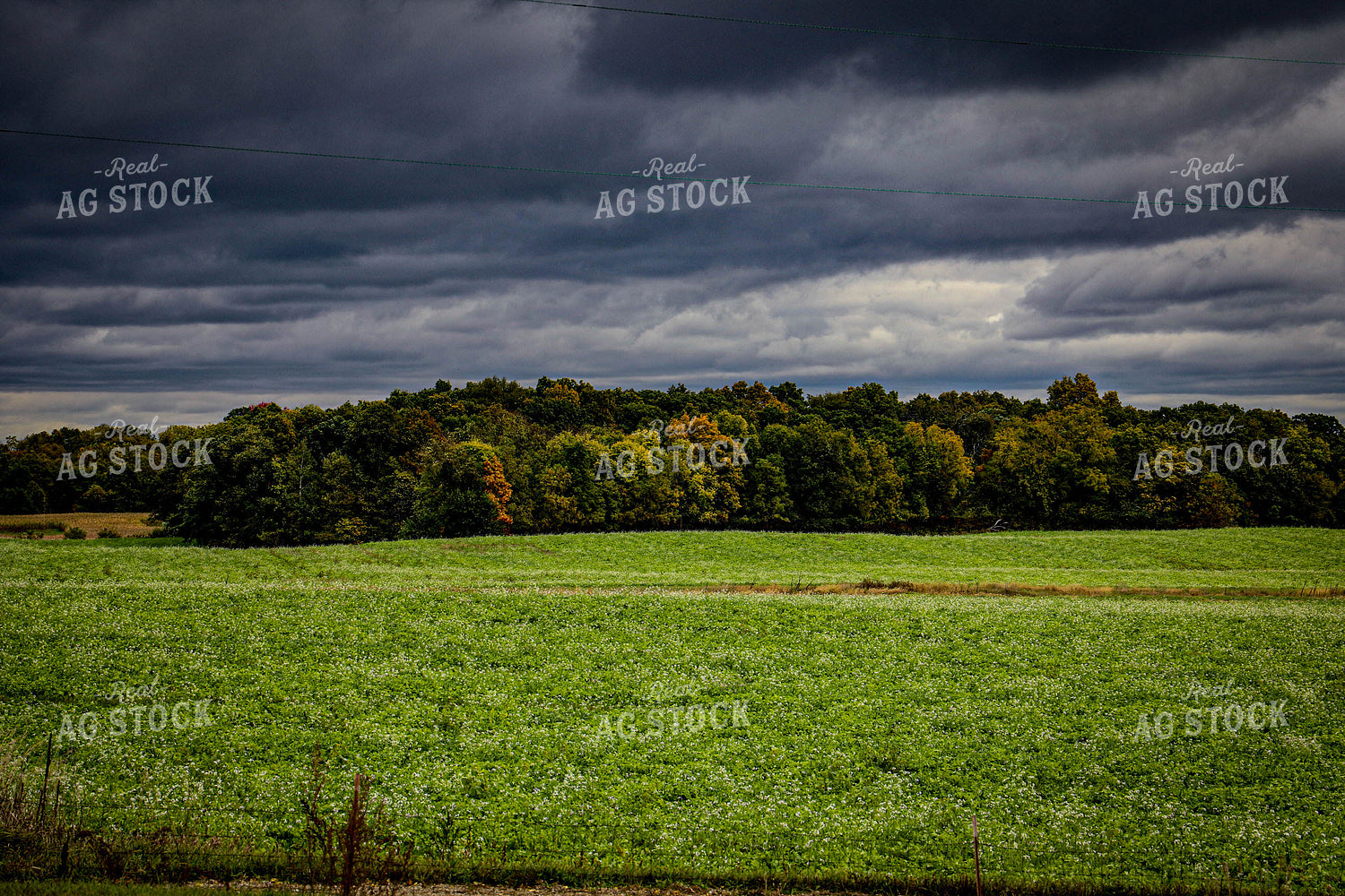 Early Fall Scenic Landscape 160001