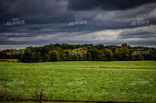 Early Fall Scenic Landscape 160001