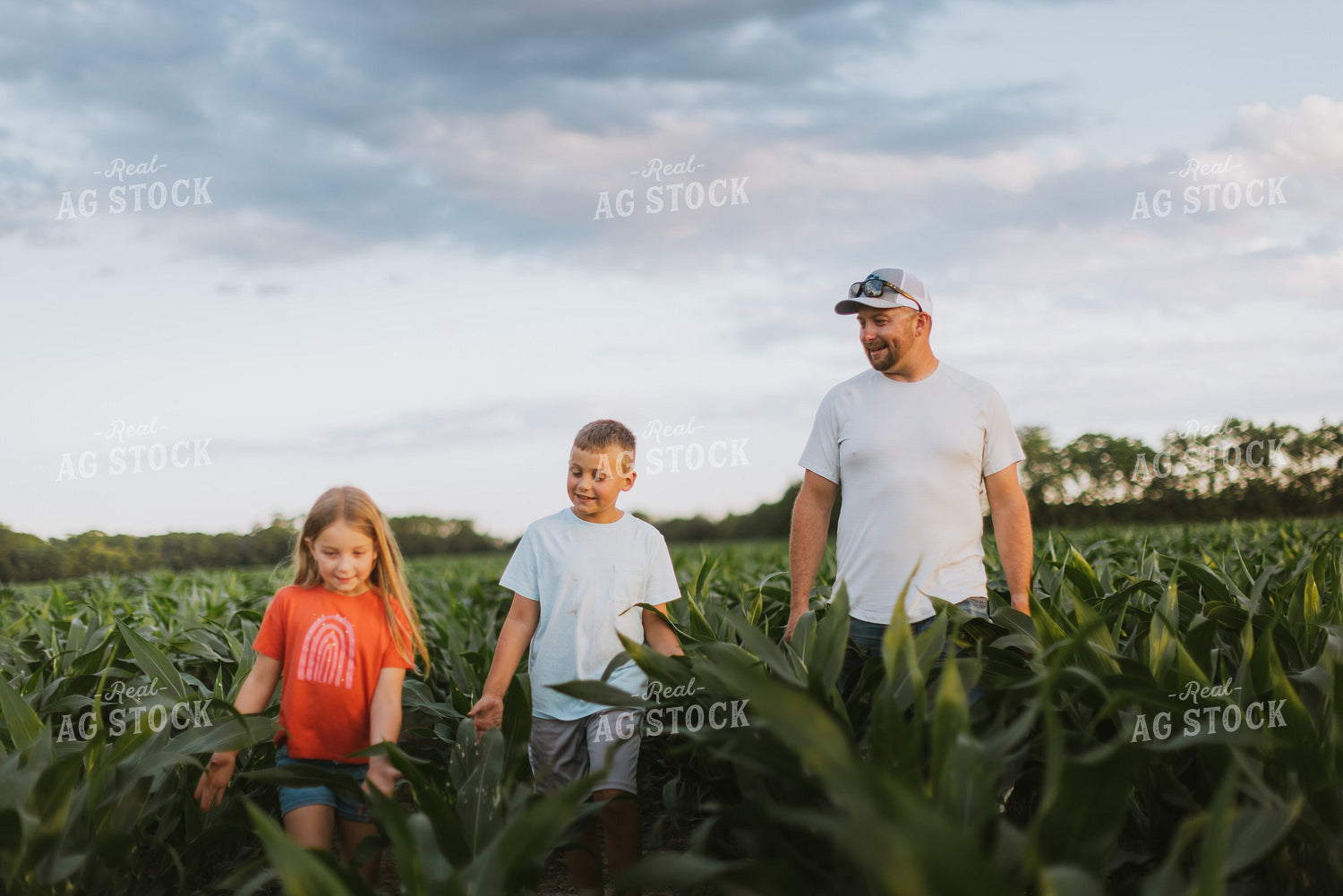 Farmer and Kids Checking Corn 8792