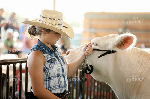 Cattle Show 127135