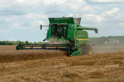 Wheat Harvest 132135