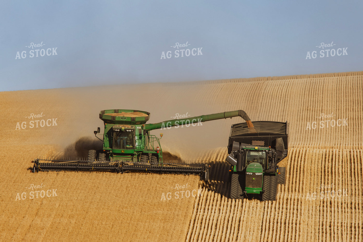 Wheat Harvest 187317