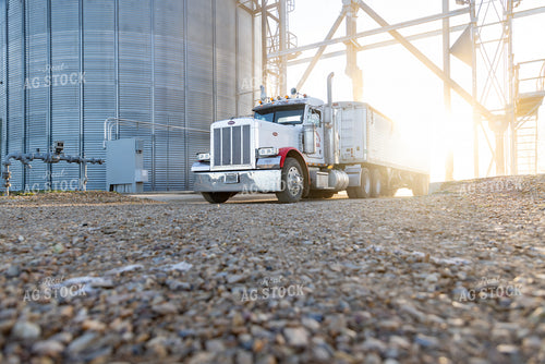 Unloading Semi Trailer at Grain Storage 79765