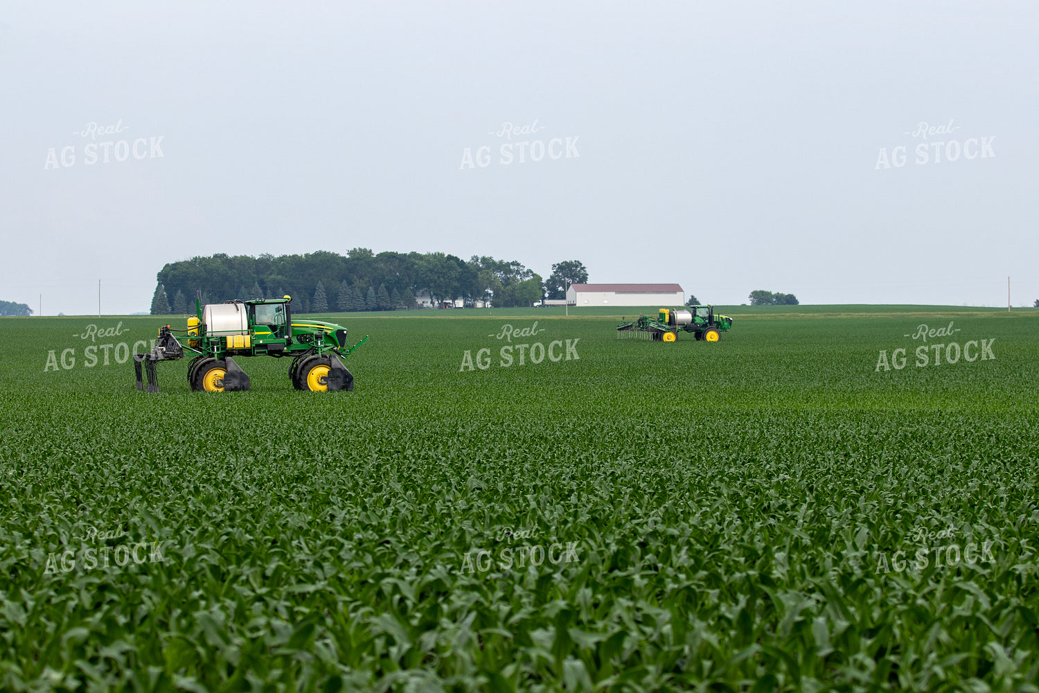 Spraying Corn 257026