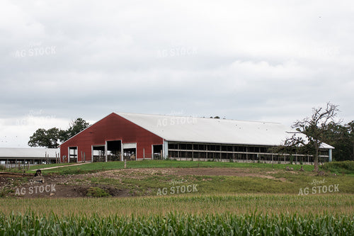 Dairy Farm 50410