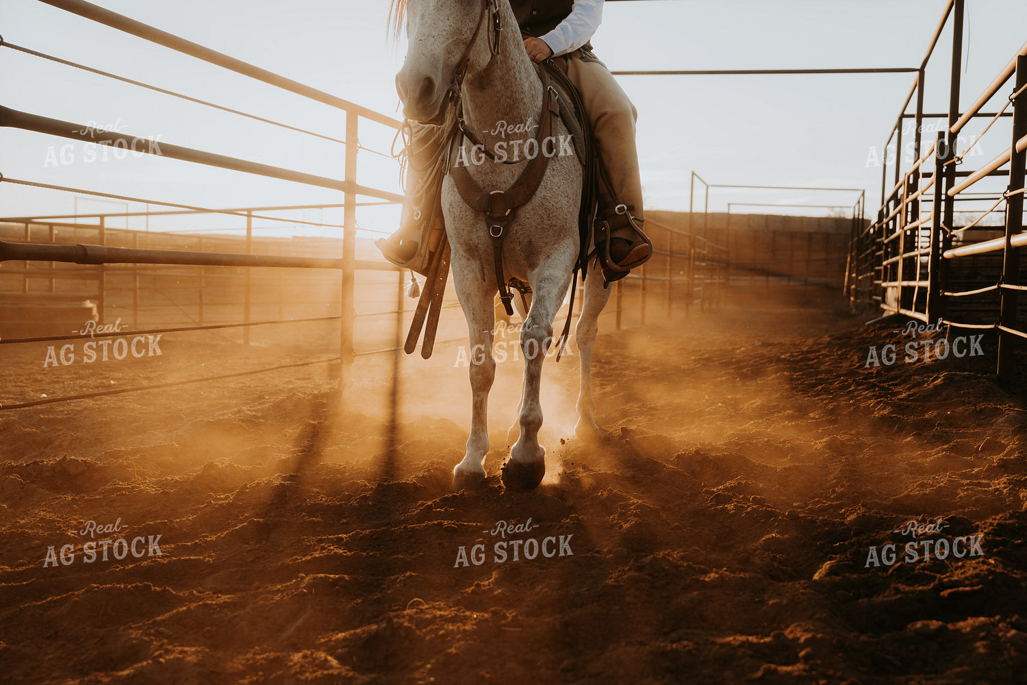 Cowboy on Horseback 61197