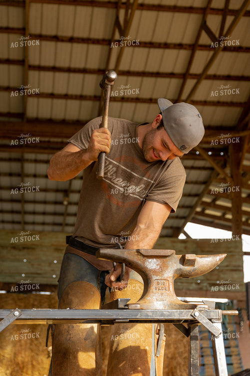 Farrier Shoeing Horses 52422