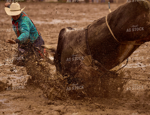 Rodeo 177034