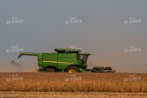 Soybean Harvest 185151