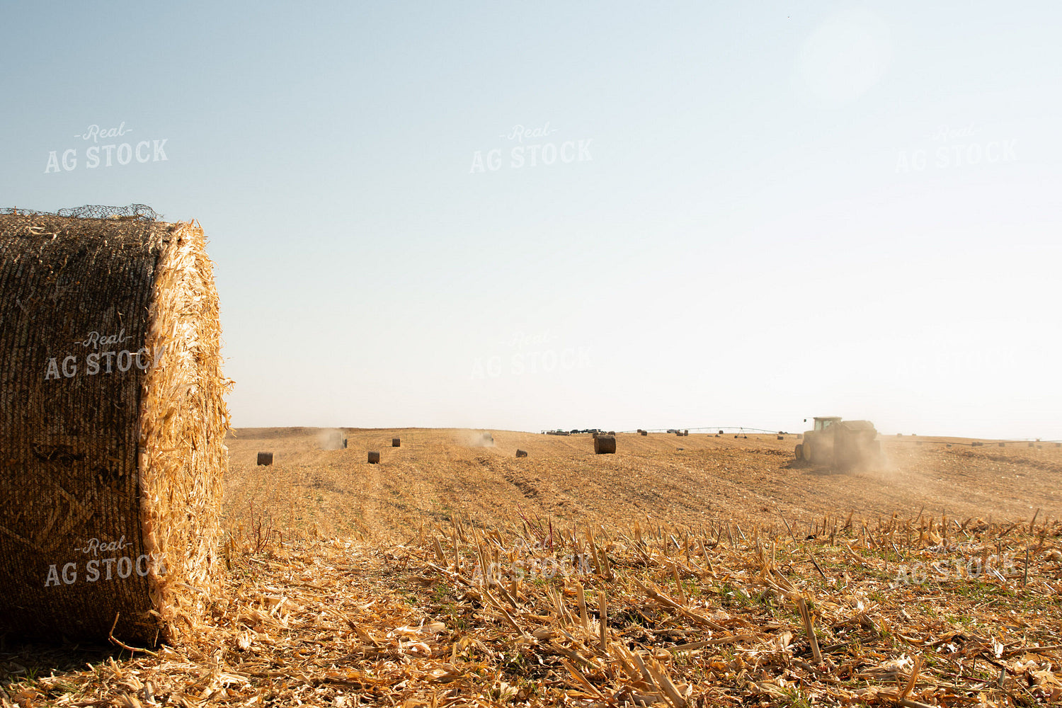 Baling Corn Stalks 223026