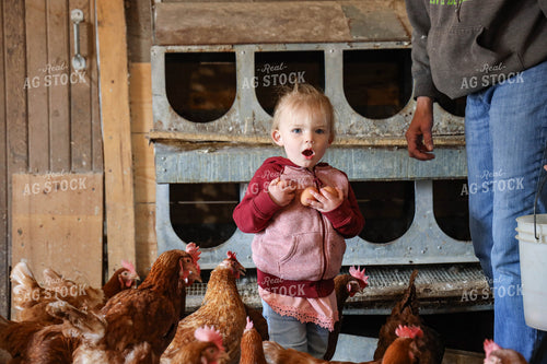 Farm Kid Collecting Eggs 161068