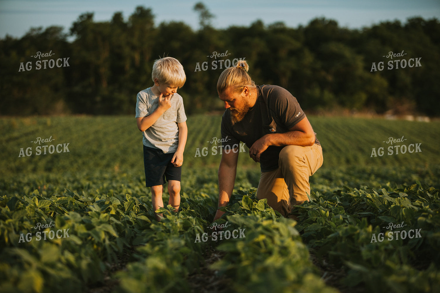 Farmer and Farm Kid in Soybean Field 6009