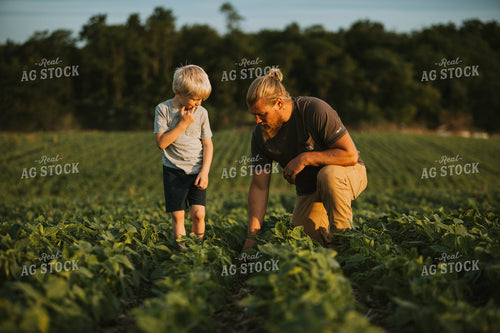 Farmer and Farm Kid in Soybean Field 6009