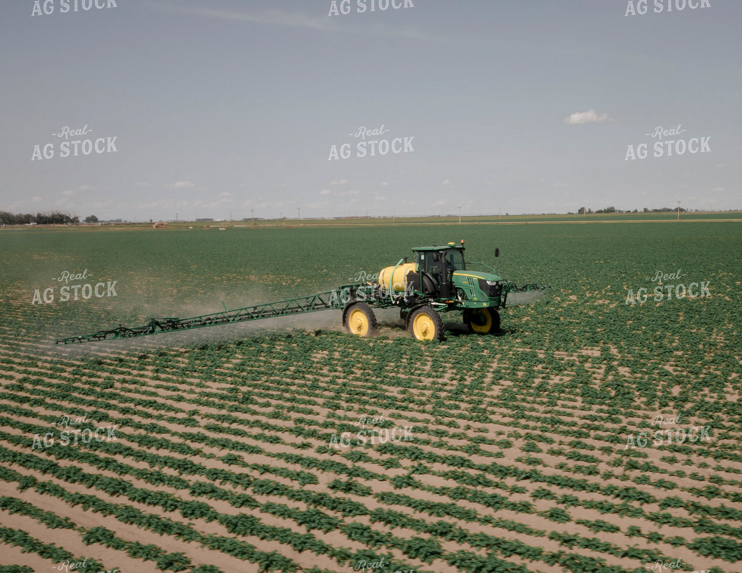 Spraying Potato Field 135059