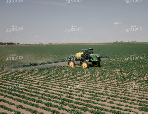 Spraying Potato Field 135059
