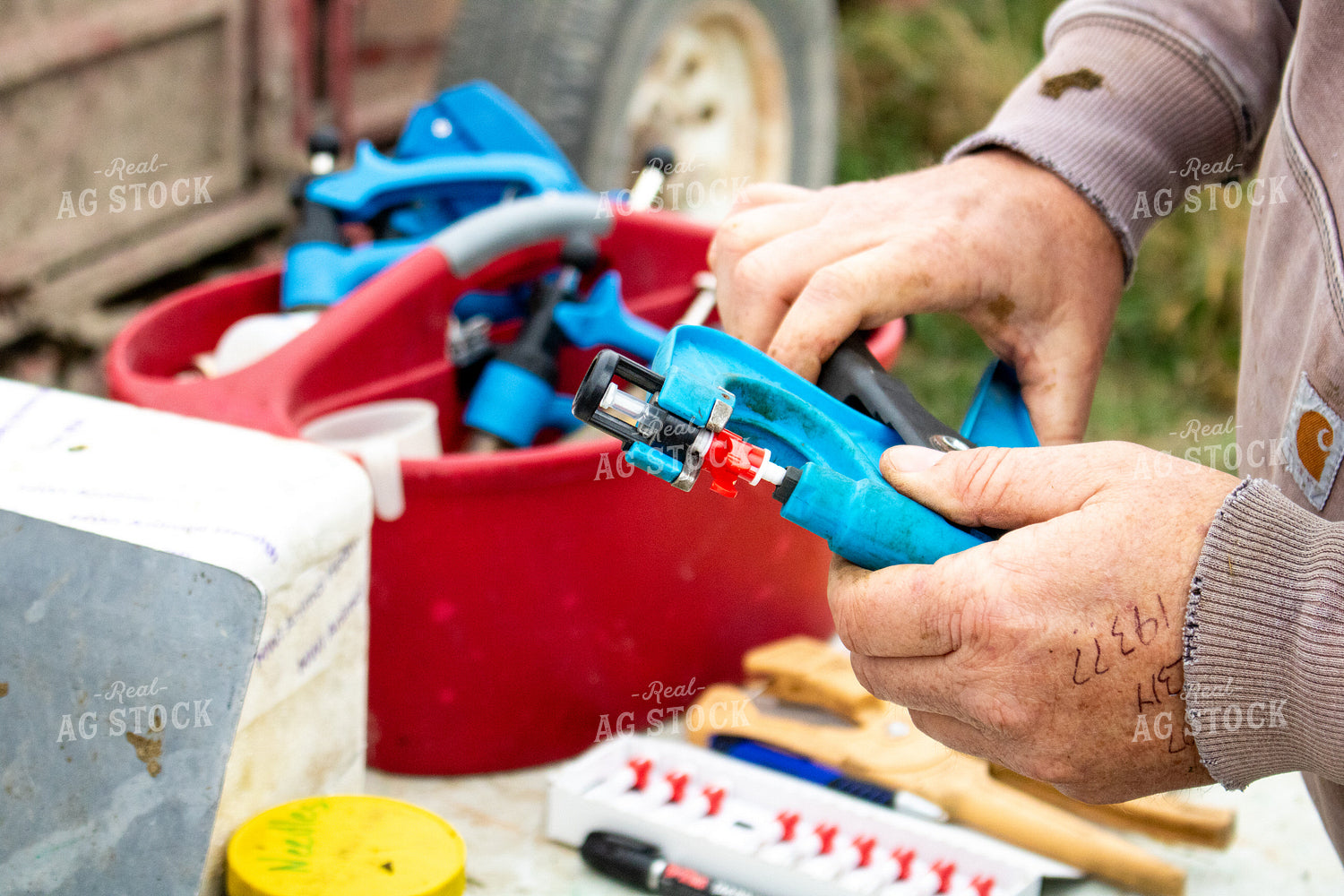 Working Cattle 214265